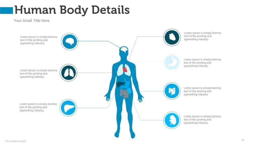 Human body powerpoint infographic