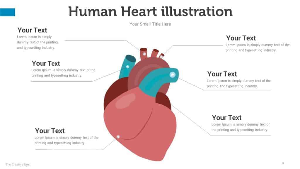 Human Heart Infographic powerpoint