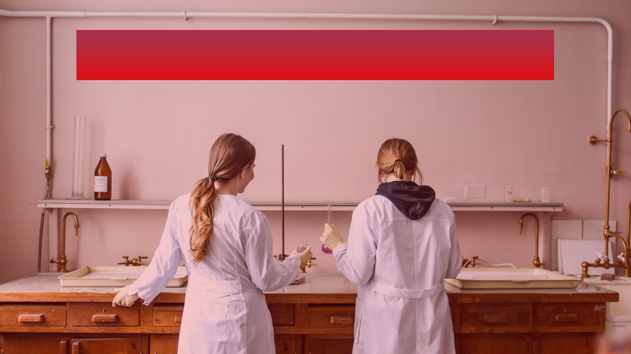 Slide 13: Quarterly Sales Chart