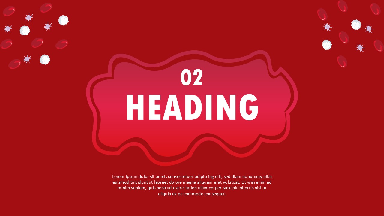 Process Flow Diagram Slide